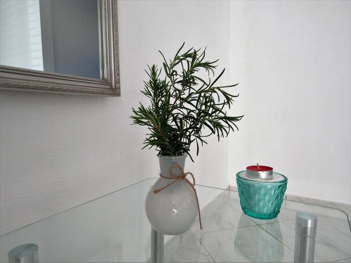Apartments Kokor Водице Экстерьер фото